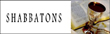 Shabbatons